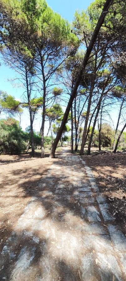 Oasis Escape Villa Vaccarizzo-Delfino Bagian luar foto