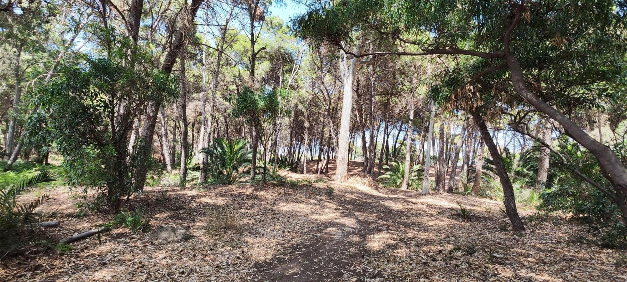 Oasis Escape Villa Vaccarizzo-Delfino Bagian luar foto