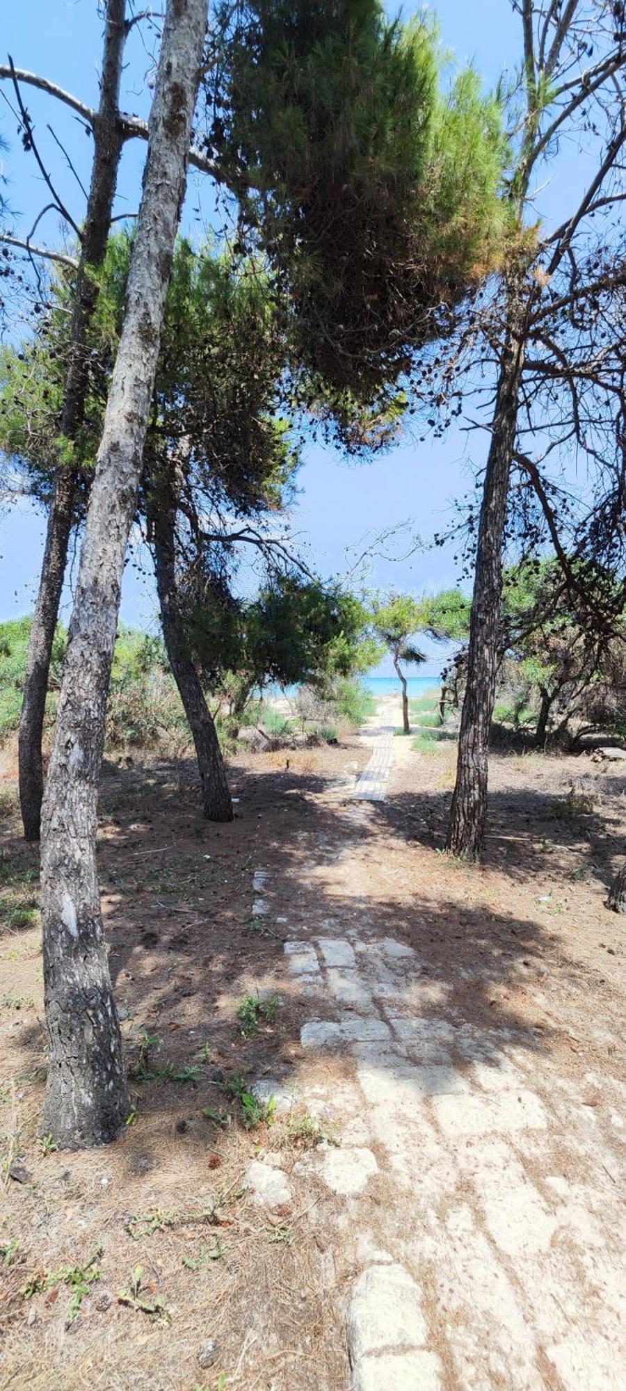 Oasis Escape Villa Vaccarizzo-Delfino Bagian luar foto
